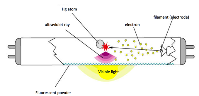 Fluorescent mercury deals